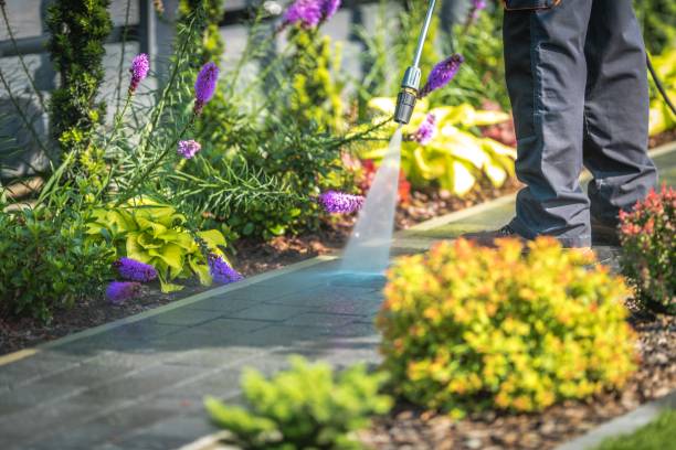 Best Patio and Deck Pressure Washing  in Leesburg, GA